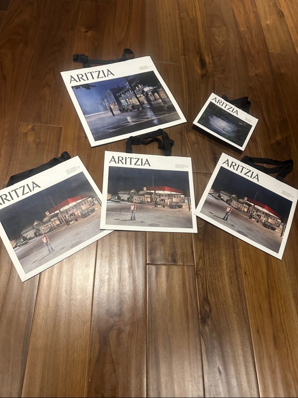 Aritzia Shopping Bags in White with Black Handles and Photographic Print